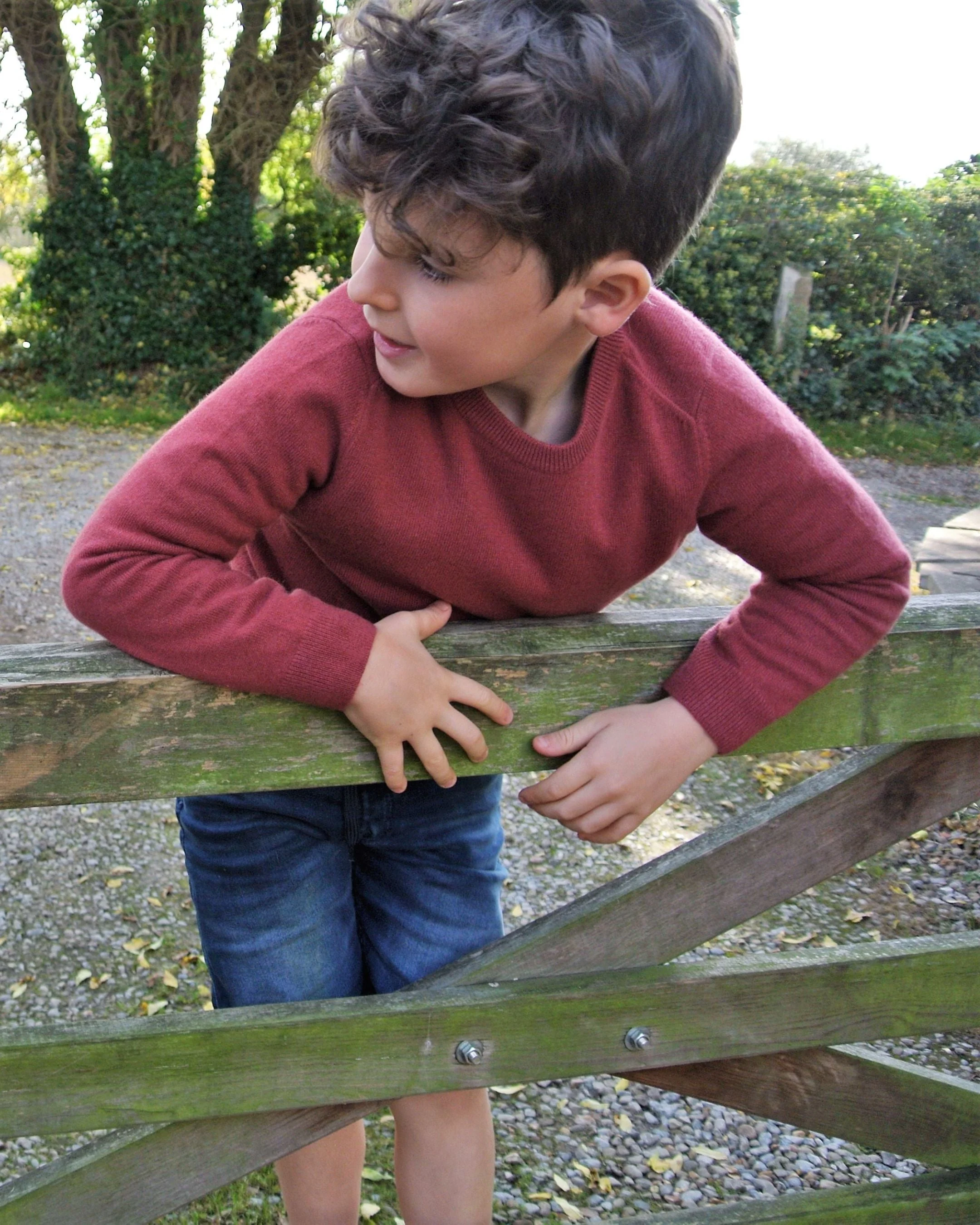 Boys Round Neck Cashmere Sweater Brick Red - Image 5